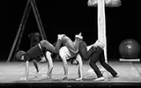 Élèves de l'École du Cirque PAD - photo 12