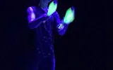 Élèves de l'École du Cirque PAD - photo 16