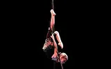Élèves de l'École du Cirque PAD - photo 20