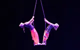 Élèves de l'École du Cirque PAD - photo 88